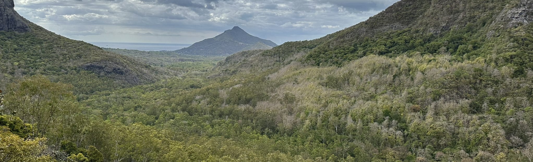 Black RIver and Mare Aux Joncs Circular, Rivière Noire