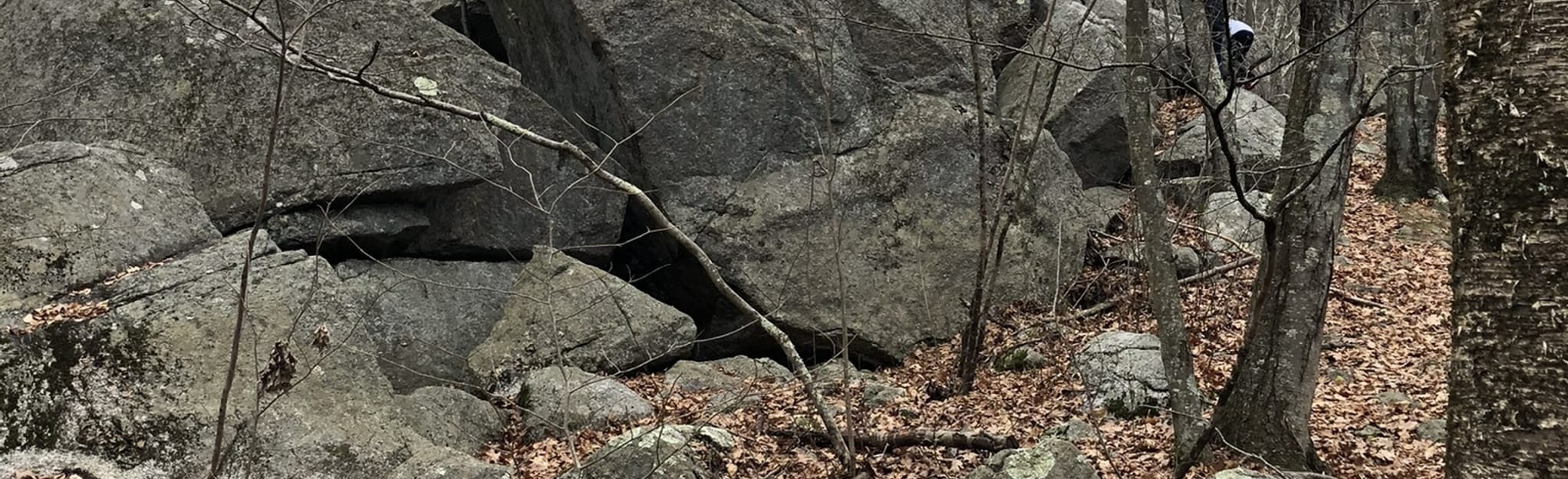 Foxboro Conservation Land Outer Loop 168 Reviews, Map Massachusetts