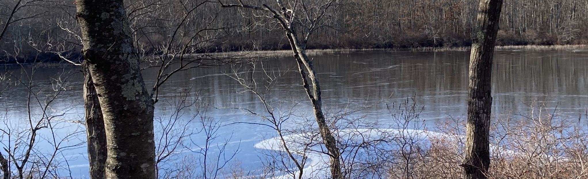 Chamberlain Pond Trail, Massachusetts - 50 Reviews, Map | AllTrails