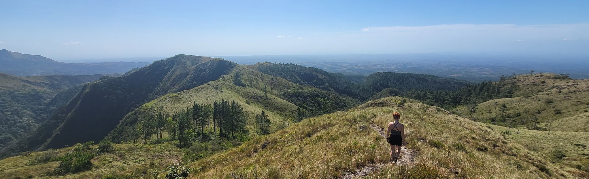 Cerro Cara Iguana Loop: 117 Reviews, Map - Coclé, Panama | AllTrails