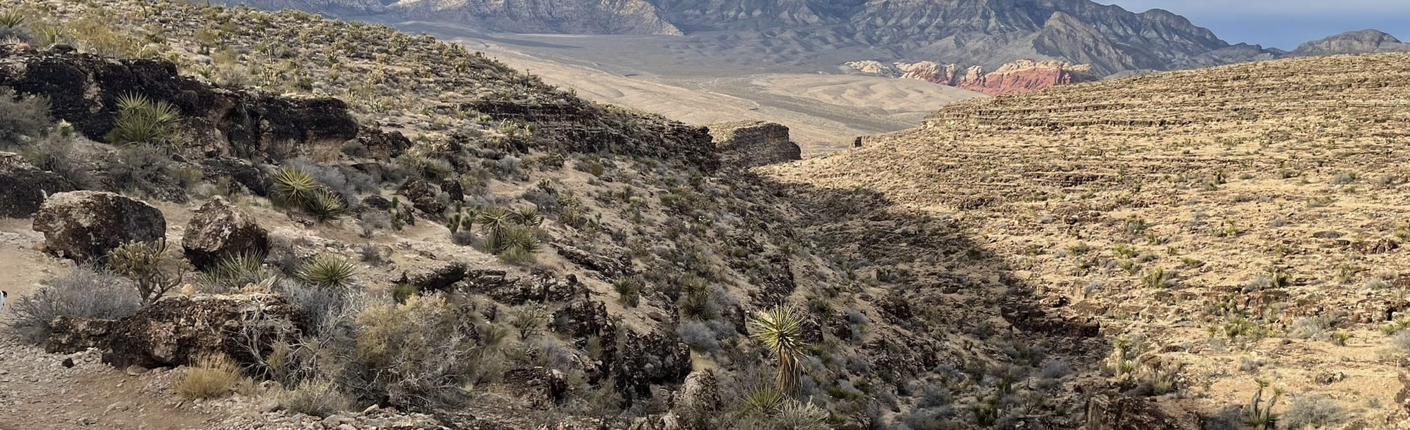 Rock Garden, Fossil Canyon and Second Finger Loop, 941 Fotos Nevada
