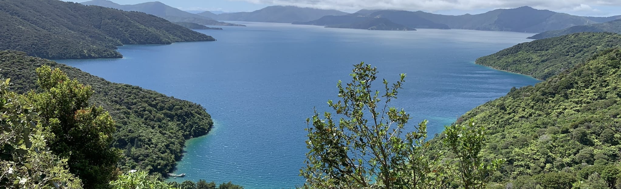 Queen Charlotte Track Resolution Bay to Endeavour Inlet 30 Reviews