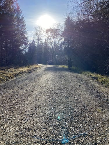 AOKparcours: Vital Route