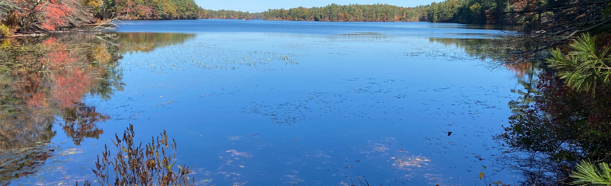 Loop, Park and Den Pond Road Loop 697 Reviews, Map Massachusetts