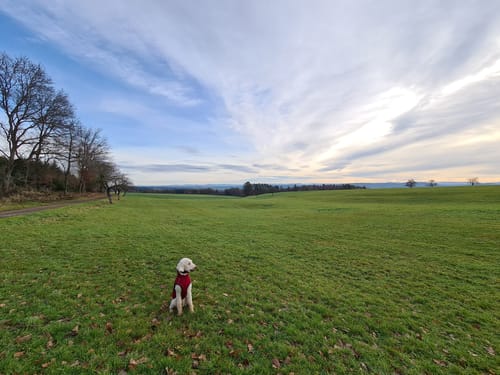 Rundweg Dettingen - Glatt