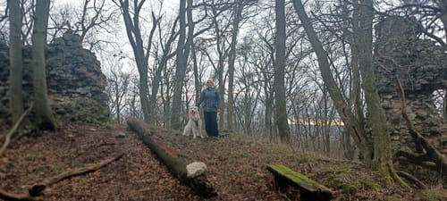 Brackenburg ab Wiershausen