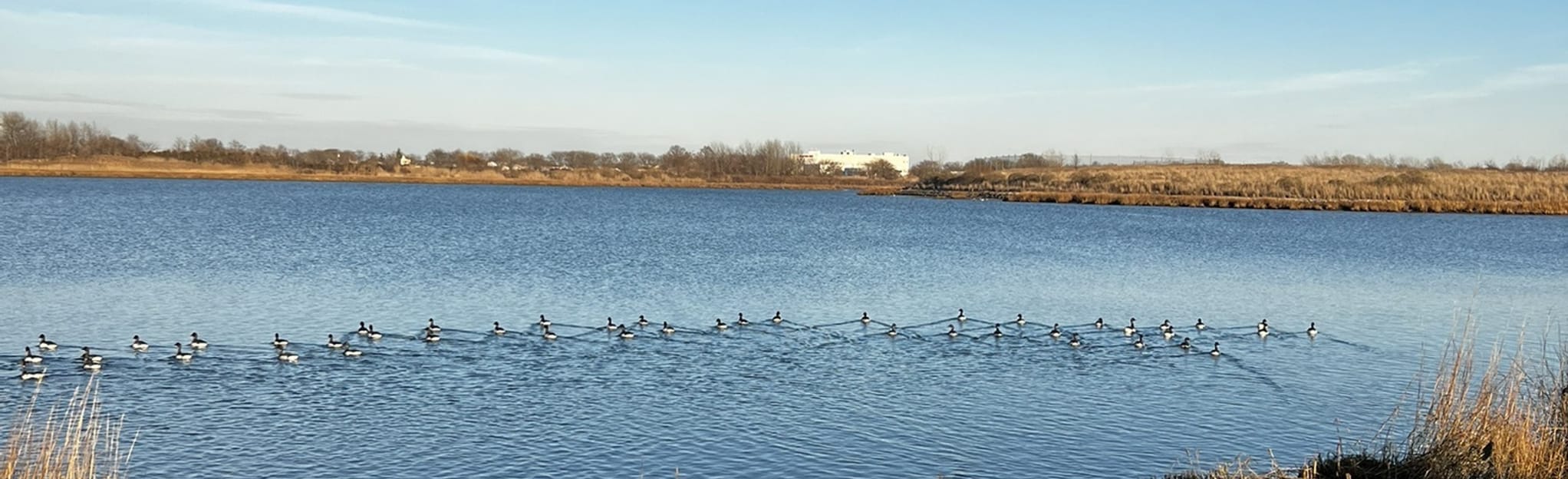 Marine Park, Gerritsen Beach, and Mill Basin 78 Reviews, Map New