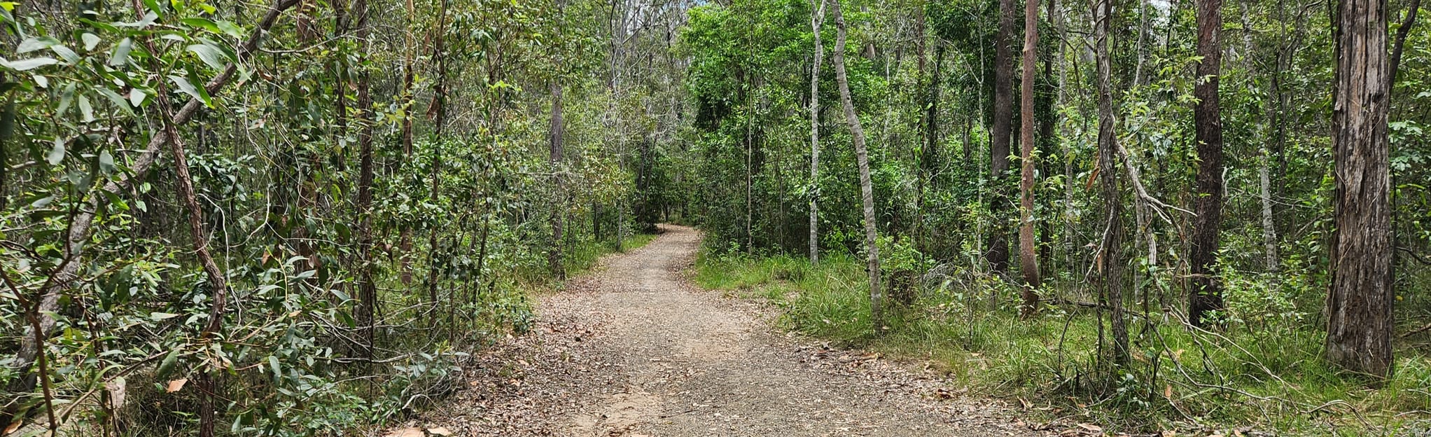 Grey Box Circuit, Queensland, Australia 137 Reviews, Map AllTrails