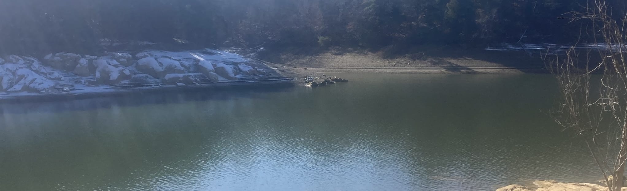 Trout Lily Trail, Tennessee 372 Reviews, Map AllTrails