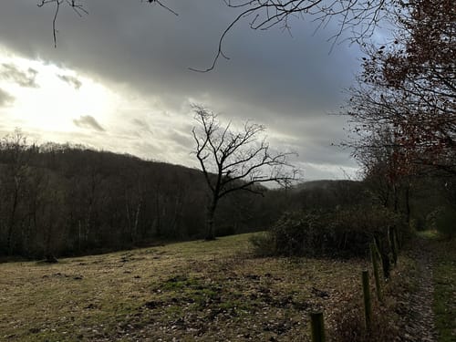 Kalmerskopf und Arenberg Rundweg über Pingsiepen