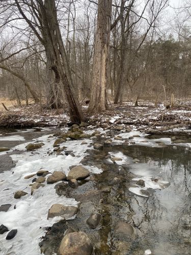 Sloan Preserve Trails: 38 Reviews, Map - Michigan