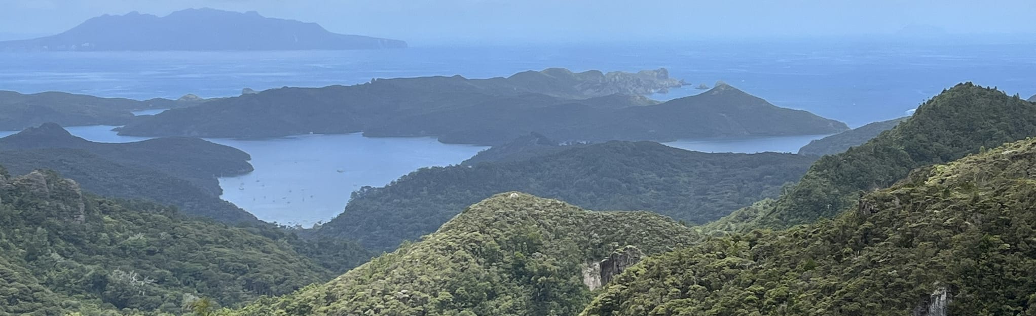 Hirakimata (Mt Hobson) Summit Track, Auckland, New Zealand 16 Reviews, Map AllTrails