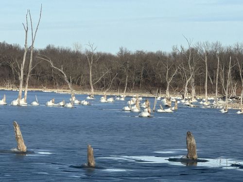 Escape to Missouri's Crows Creek: A Nature Lover's Paradise