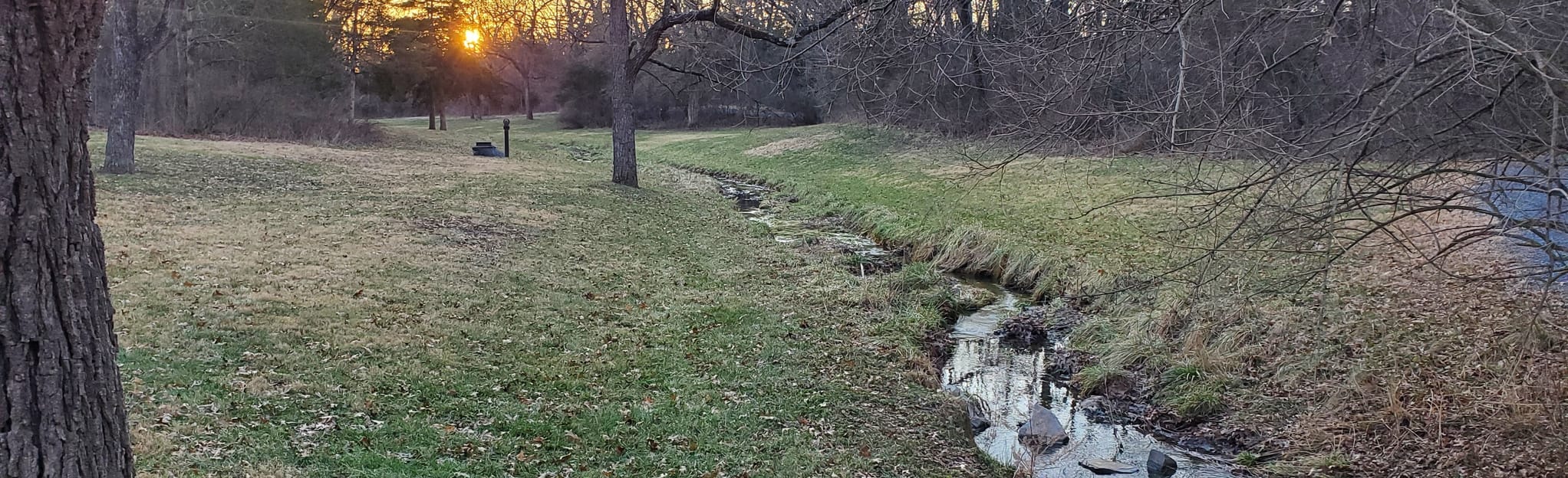 Hillandale Park Trail 169 Reviews, Map Virginia AllTrails