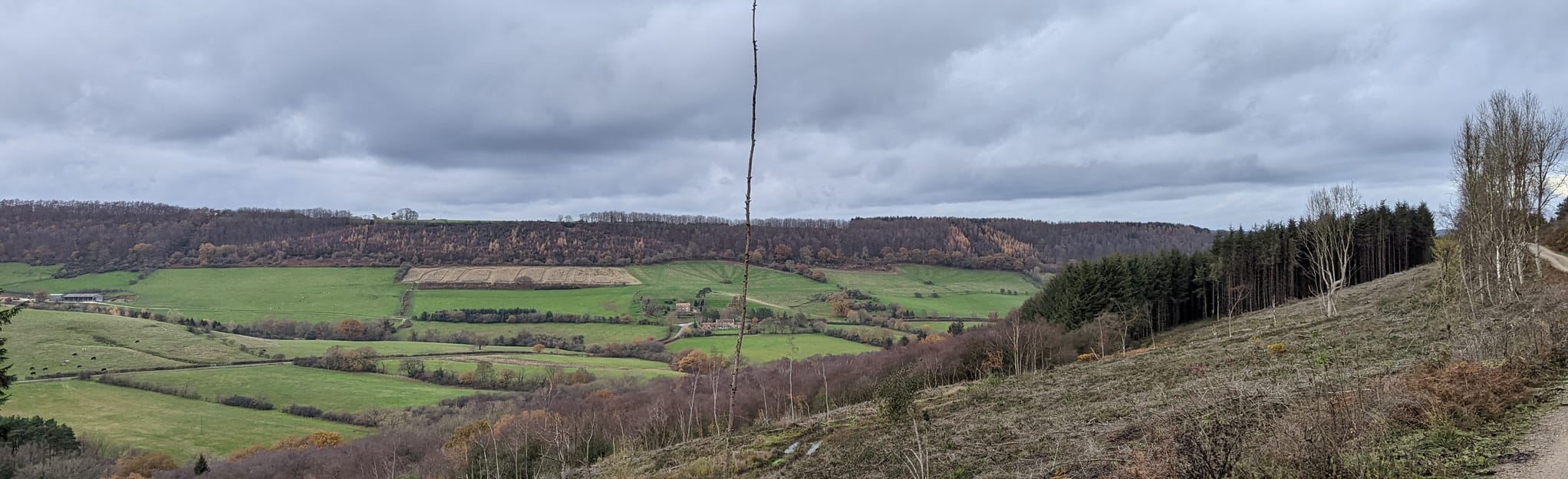 Troutsdale Circular, North Yorkshire, England 5 Reviews, Map AllTrails