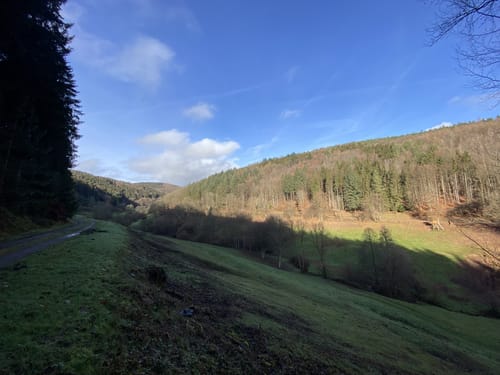Brombachertal ab Hirschhorn