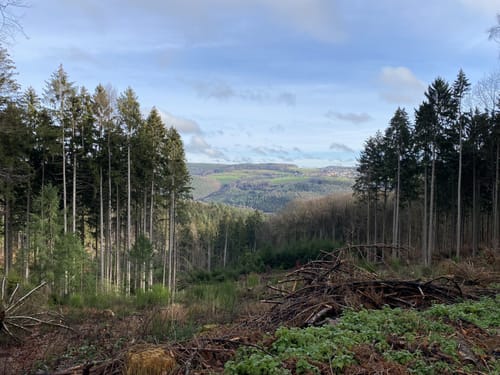 Brombachertal ab Hirschhorn