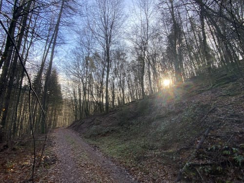 Brombachertal ab Hirschhorn