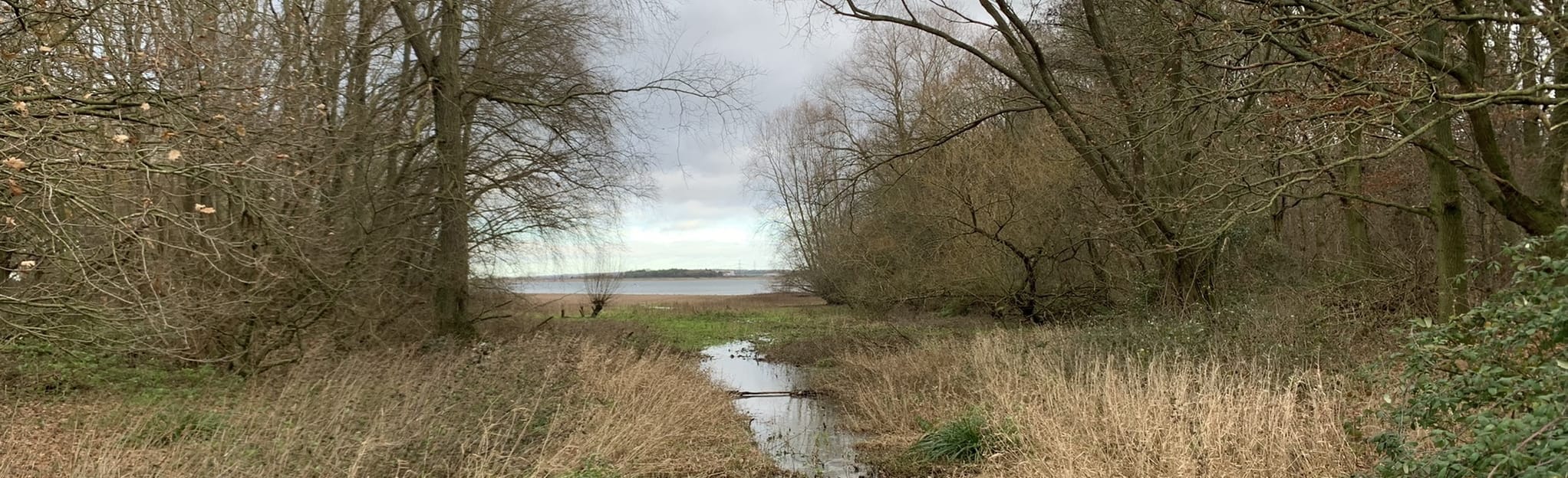 Hanningfield Reservoir and Fishing Lodge - Essex, England | AllTrails