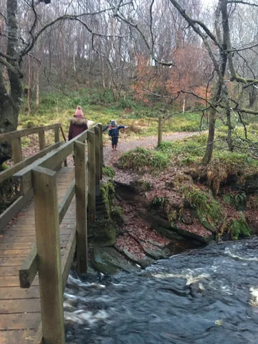 Best Kid Friendly Trails In Dornoch Alltrails