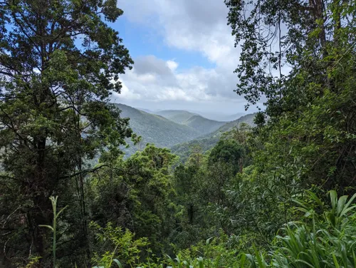 10 Best Trails and Hikes in Queensland | AllTrails