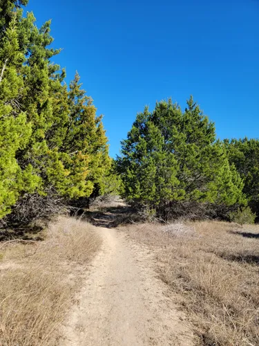 Dana peak park discount mountain bike trails