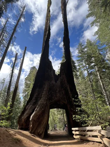 Kid friendly on sale hikes in yosemite