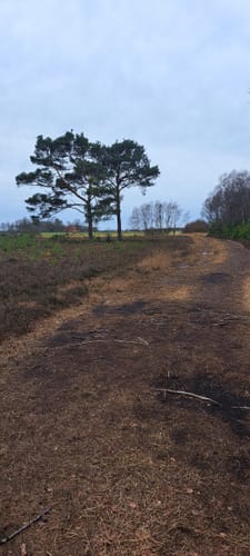 Schnuckenweg