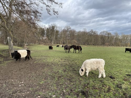 Siebleber Teiche und entlang des Seeberges