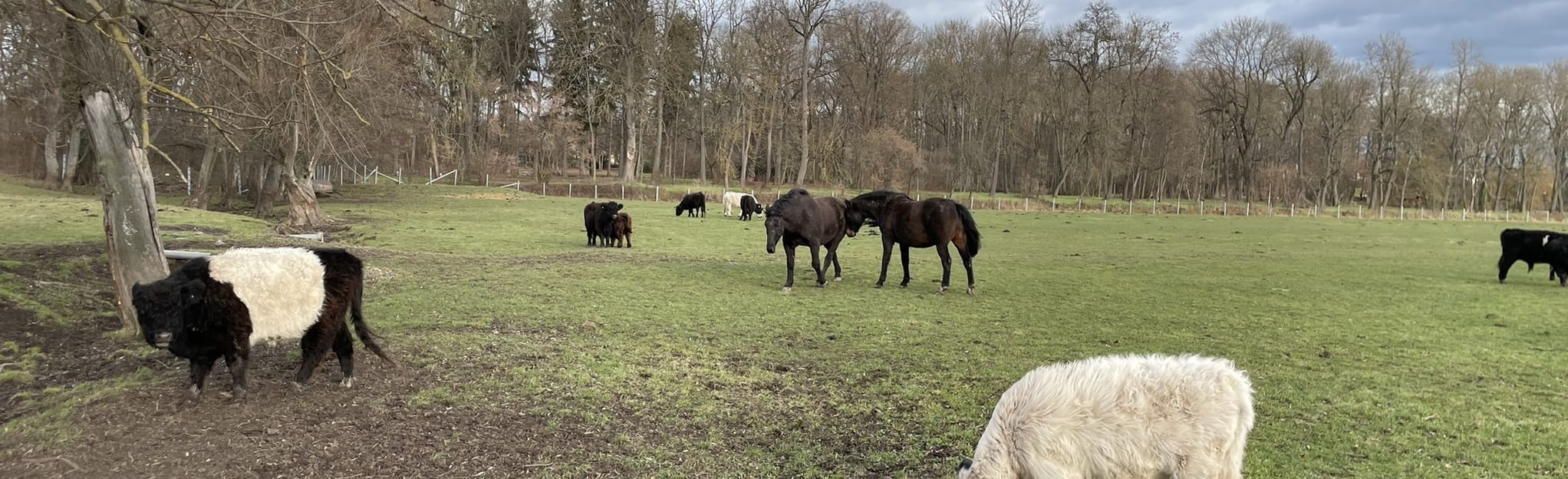Siebleber Teiche und entlang des Seeberges 2 Fotos Thüringen