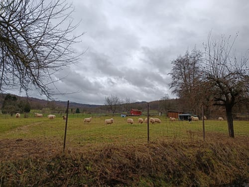 Rundweg 3 Lichte Eiche