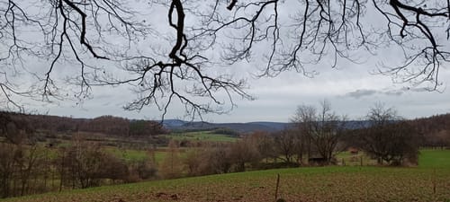 Bilsteinrundweg Kaufunger Wald