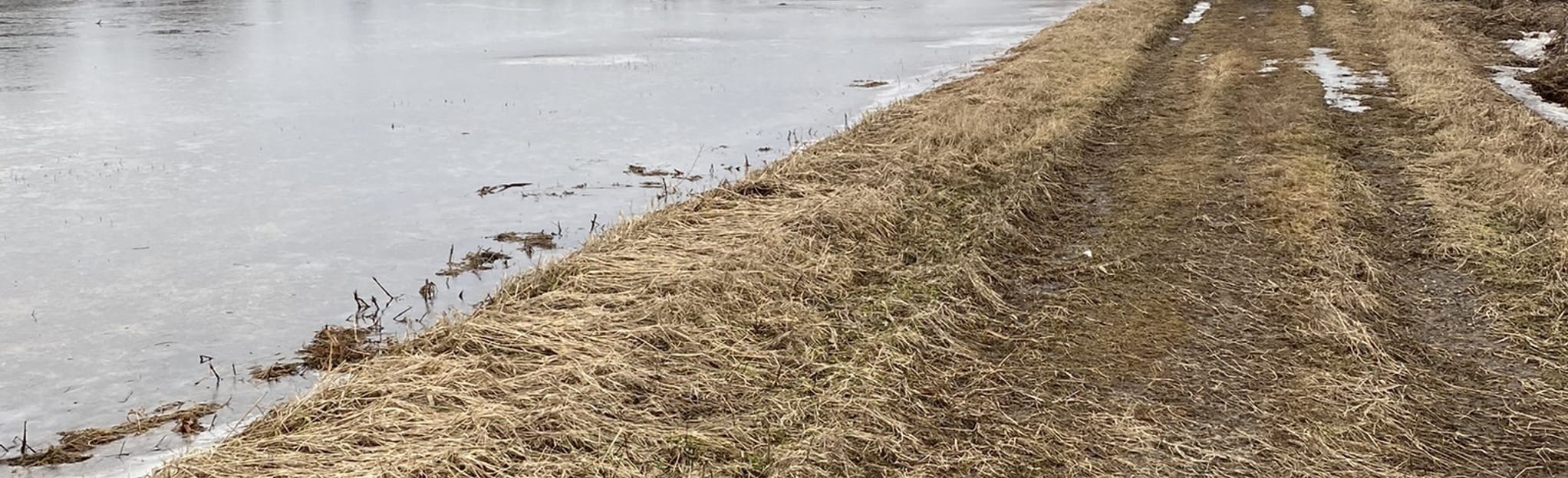 Bolton Flats Trail, Massachusetts 30 Reviews, Map AllTrails