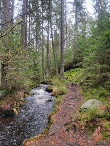 Weißmain-Ochsenkopf-Steig