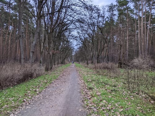 Hirschgarten Rundweg