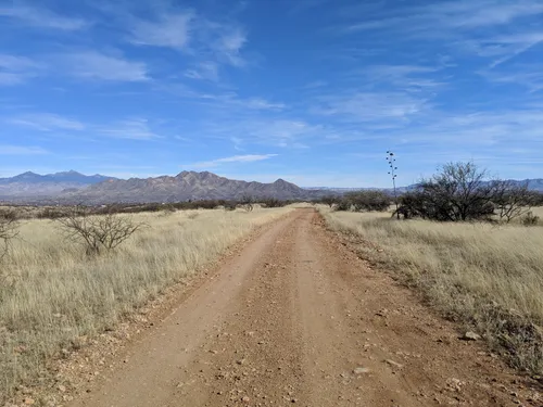 2023 Best Wild Flowers Trails in Rio Rico | AllTrails