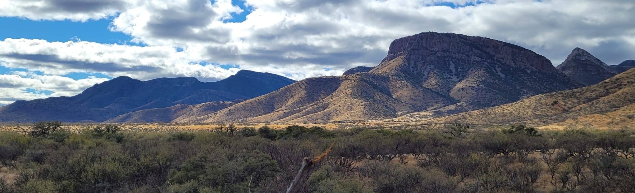 Ocotillo Loop Trail 212 Reviews, Map Arizona AllTrails