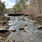 Haw Creek Falls Trail, Arkansas - 151 Reviews, Map | AllTrails