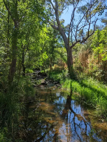 Sturt discount gorge mtb