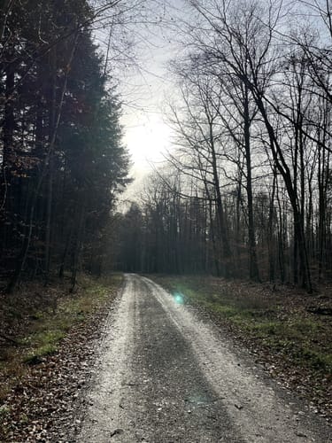 Siebeneich Rundweg 2