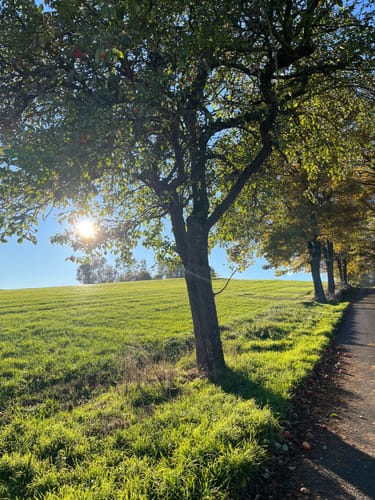 Schmillinghausen Wanderweg S3
