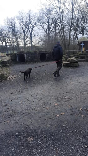 Im Tierpark Sababurg