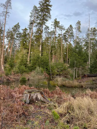 Best Hikes and Trails in Haimendorfer Forst AllTrails