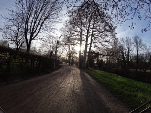 Schlossgarten zur Baro-Allee durch den Hardtwald