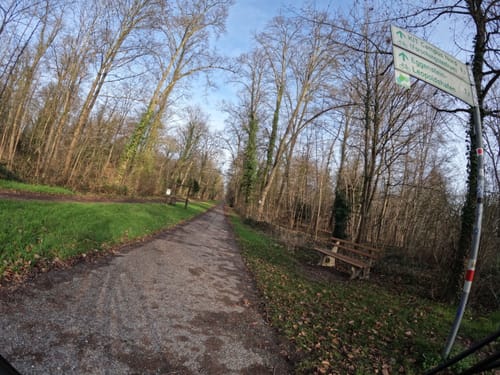 Schlossgarten zur Baro-Allee durch den Hardtwald
