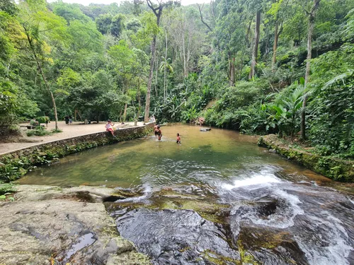 Tijuca National Park Hiking Tour, Rio de Janeiro