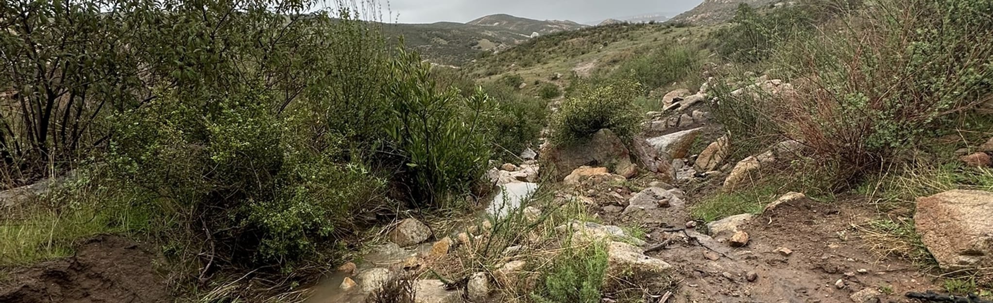 Circuito Rancho Casian 34 Photos Baja California, Mexico AllTrails