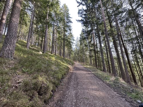 Zur Wanderhütte Sattelei