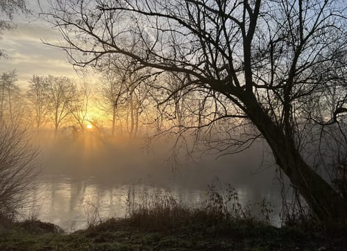 Zum Schäferhauser See