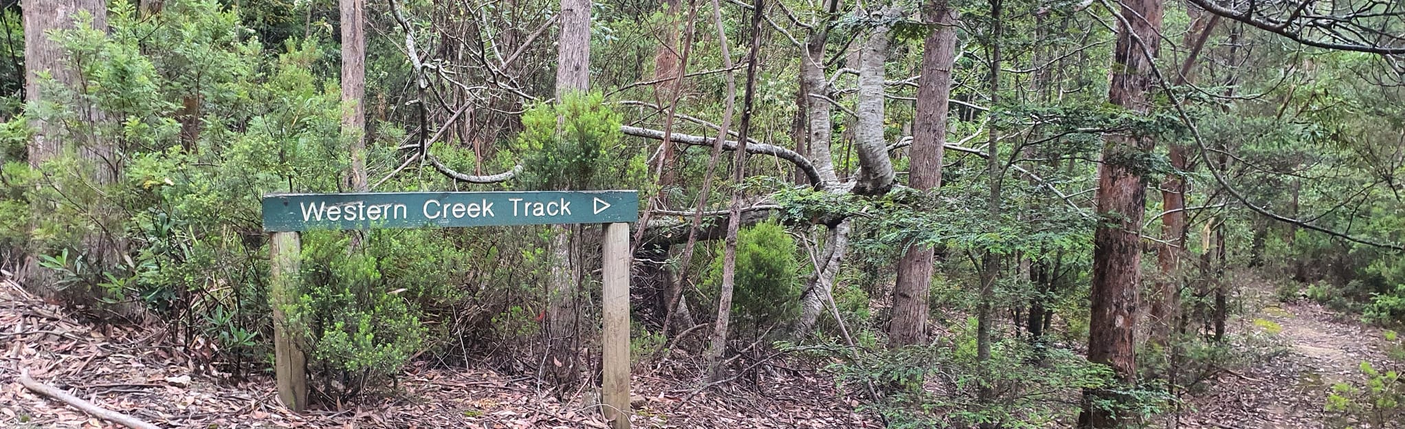 Ironstone Mountain via Western Creek and Whitleys Hut, Tasmania